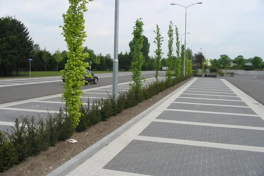 0383_05_-_intratuin_veghel_2004.Rgxnw6i.webp