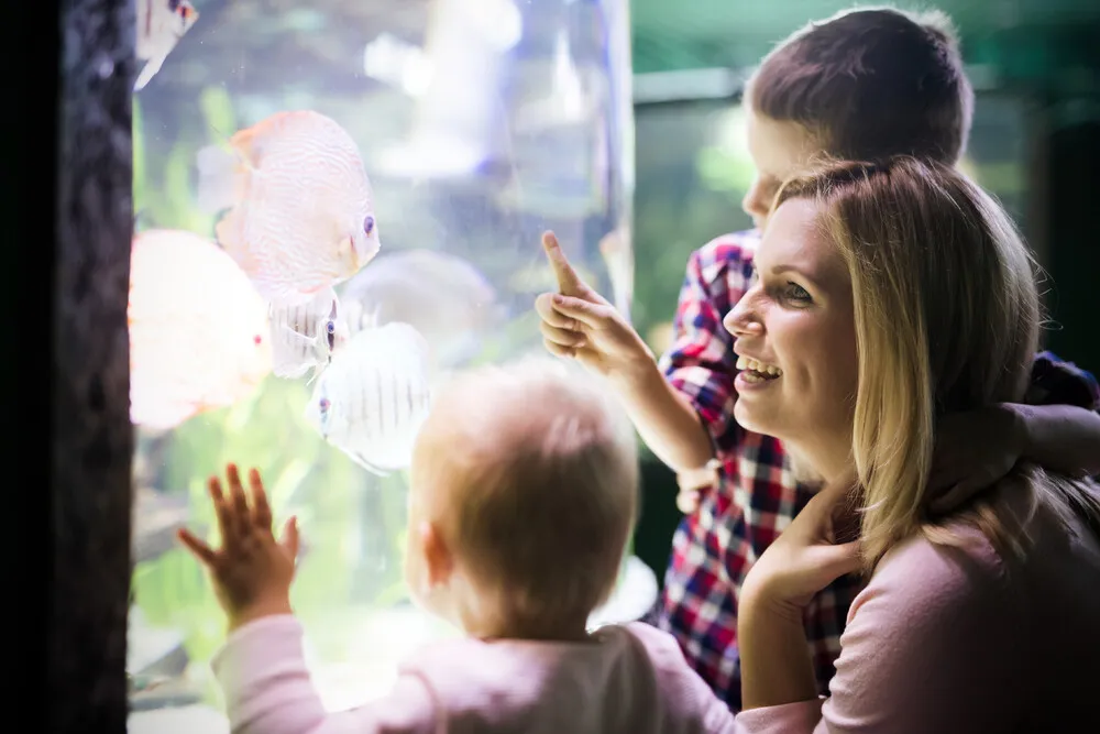 family-watchig-fishes-at-a-aquarium-2021-08-26-17-35-04-utc.DDvOTv3.webp