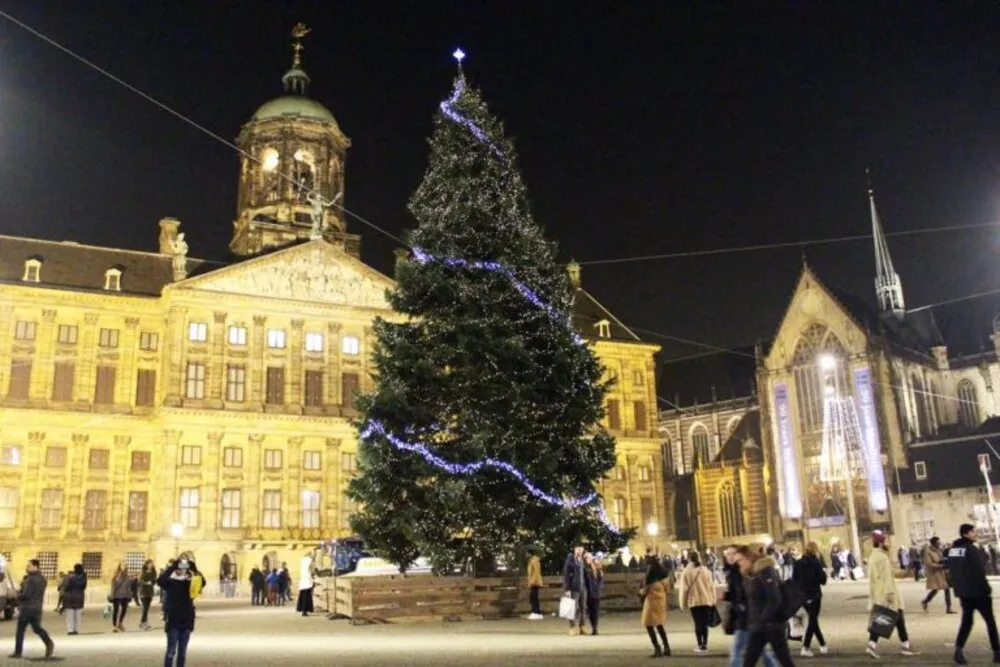 grd-kerstbomenxl-referentie-amsterdam-dam-1030x687-1-768x512_1.odv45Nd.webp