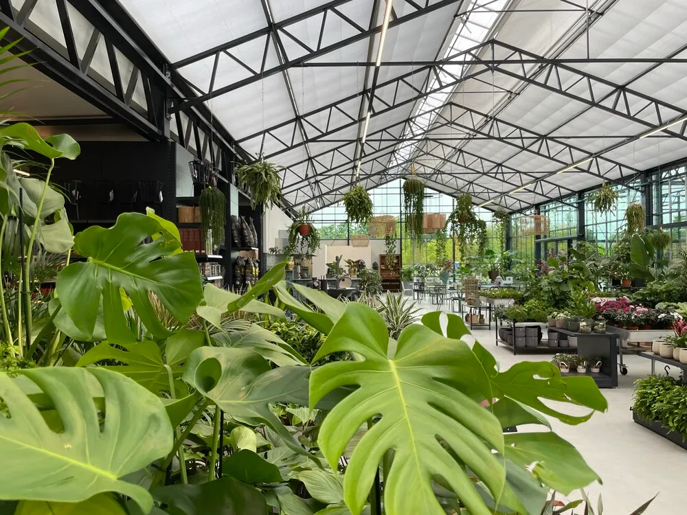 image_11.5lePRfk.webp image_11.5lePRfk.webp