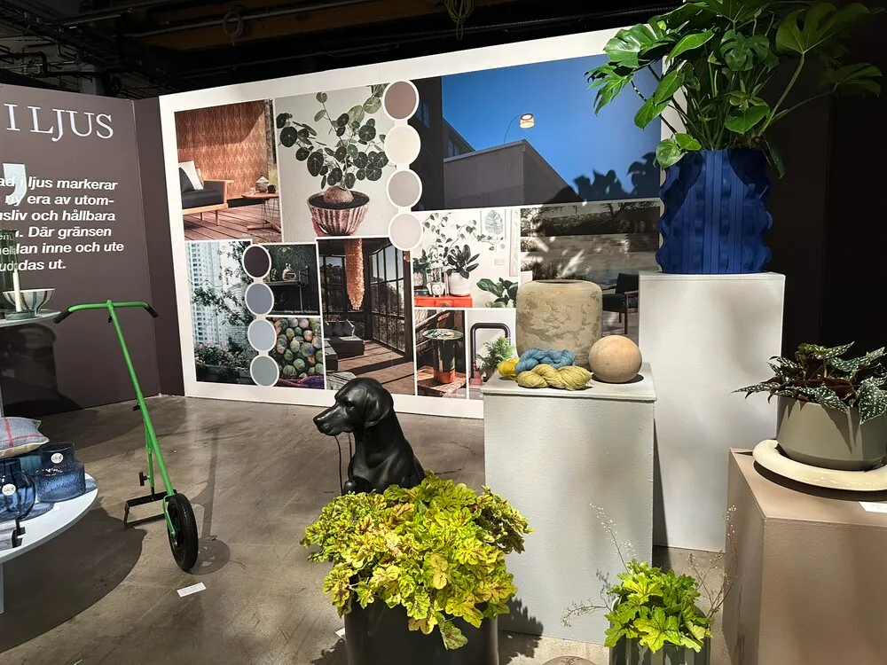 image_15.5RhkeFv.webp image_15.5RhkeFv.webp