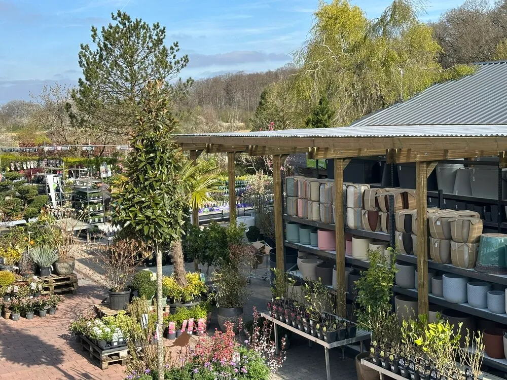 image_15.WOEml2i.webp