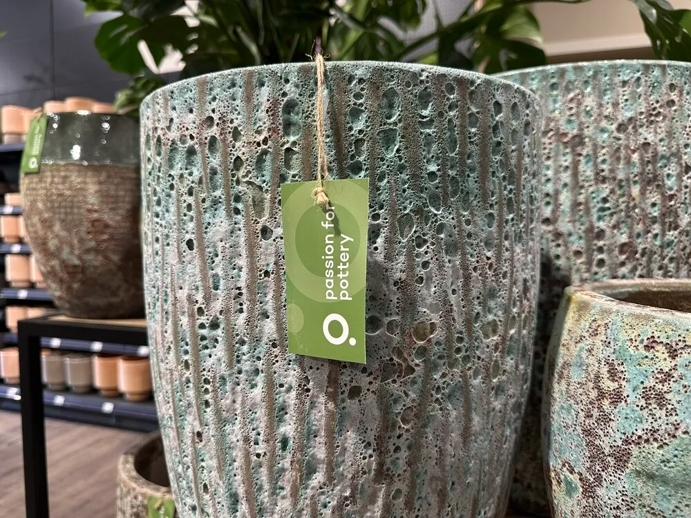 image_22.d4DGhJM.webp