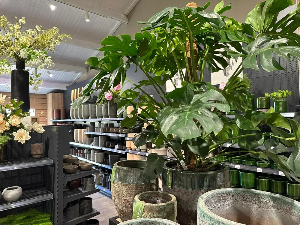 image_23.548gE04.webp