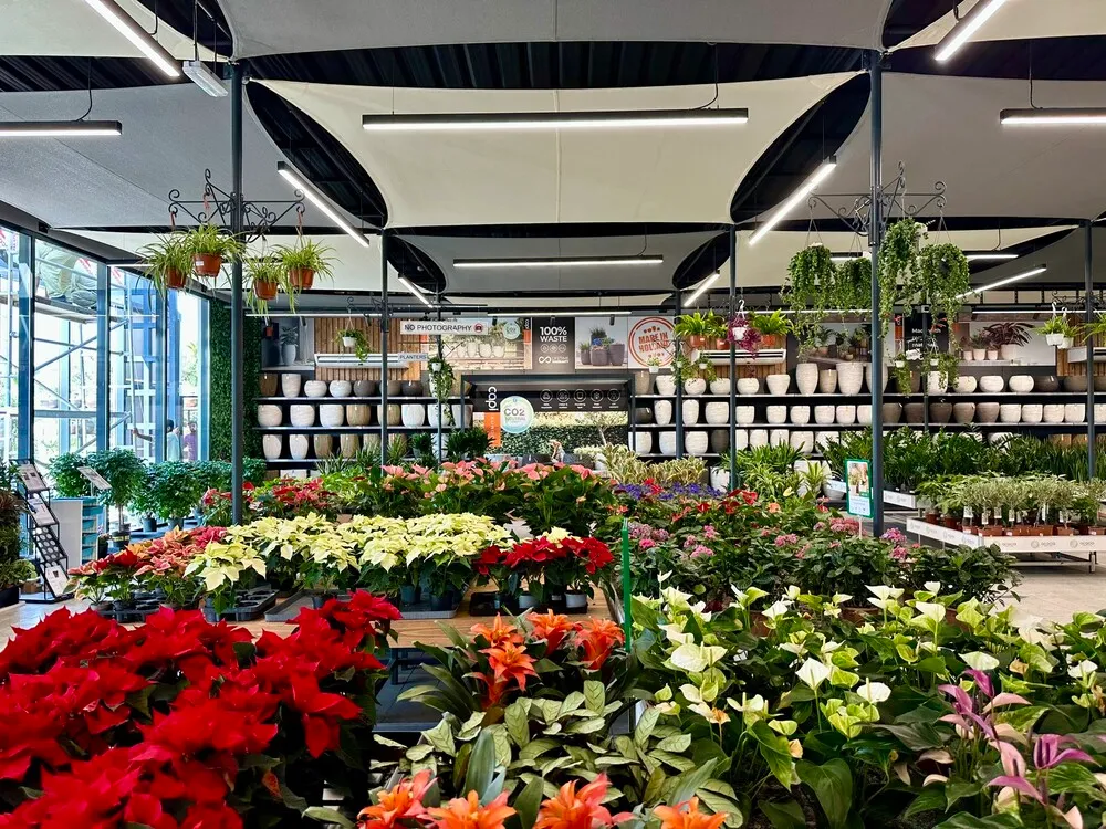 image_3.m7kCjqY.webp image_3.m7kCjqY.webp