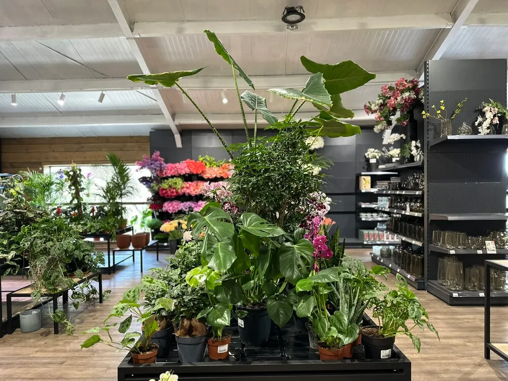 image_30.Bz2134V.webp