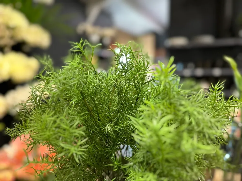 image_32.A8un3De.webp