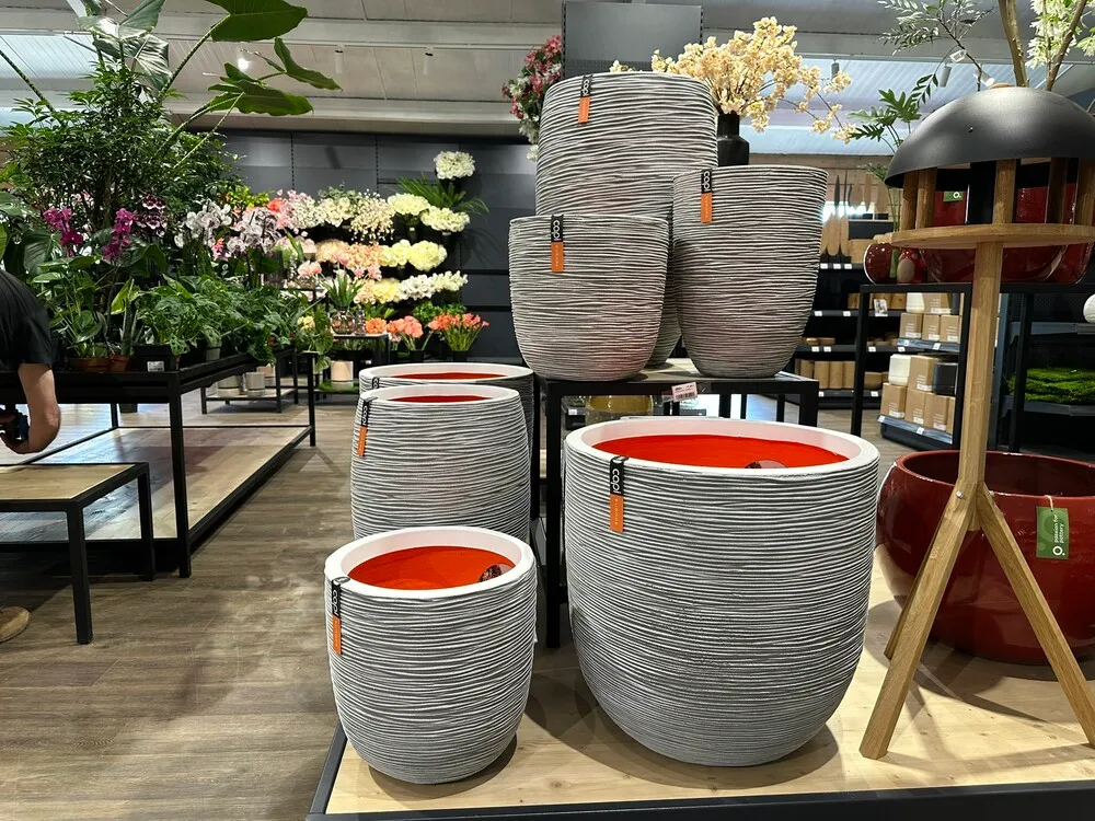 image_37.nDCpEKy.webp