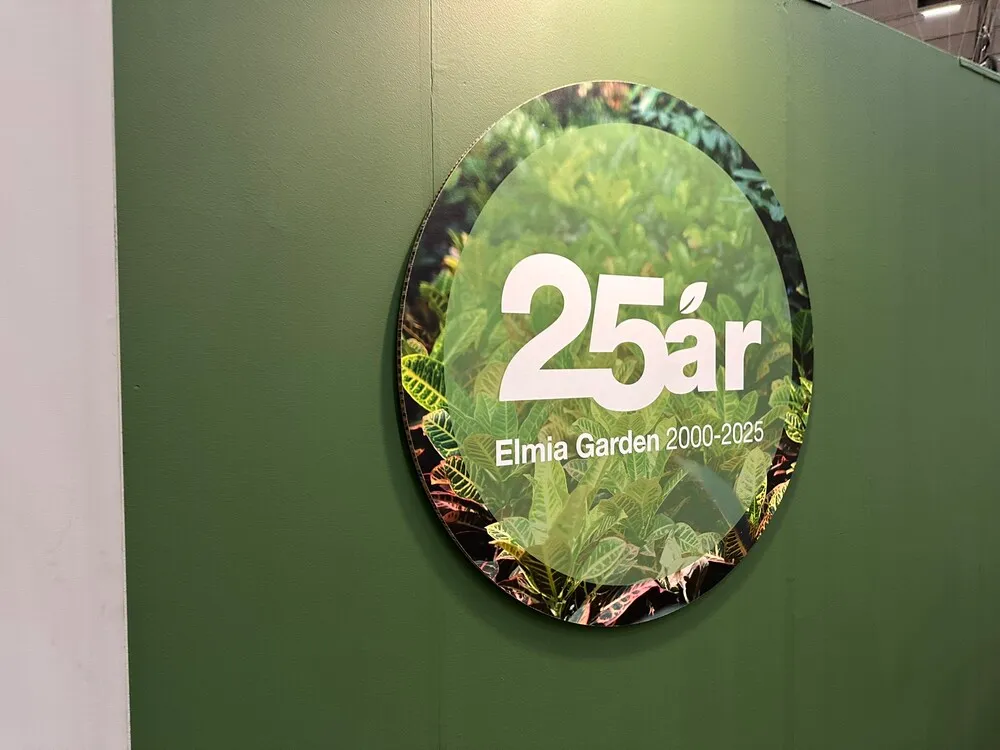 image_4.2yeyCbp.webp image_4.2yeyCbp.webp