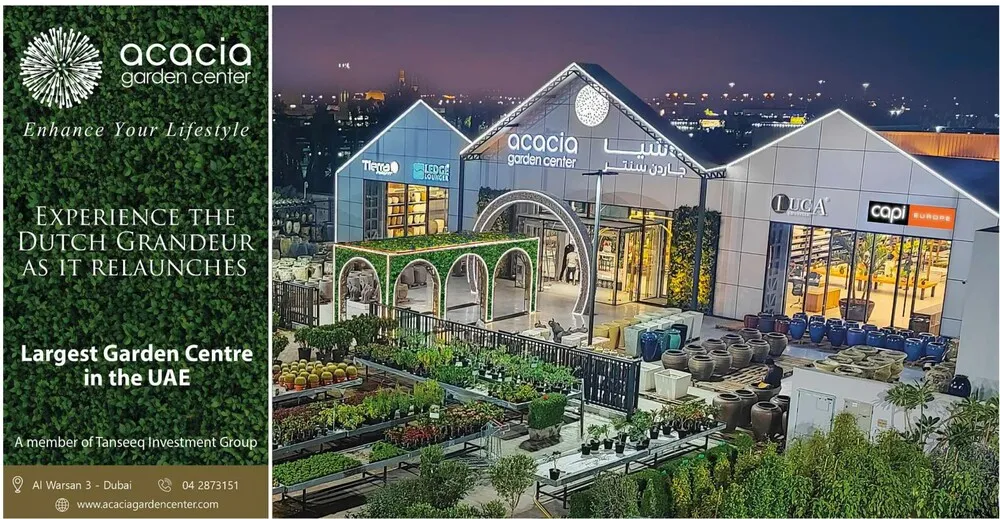 image_4.9bBKEqy.webp image_4.9bBKEqy.webp