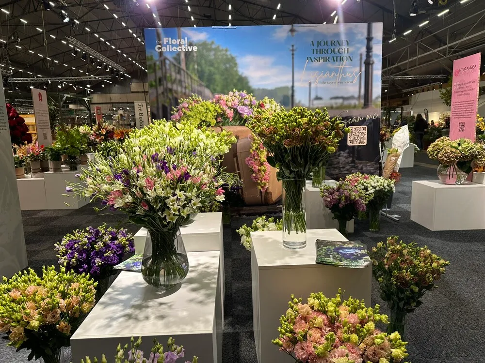 image_5.5CETPfF.webp image_5.5CETPfF.webp