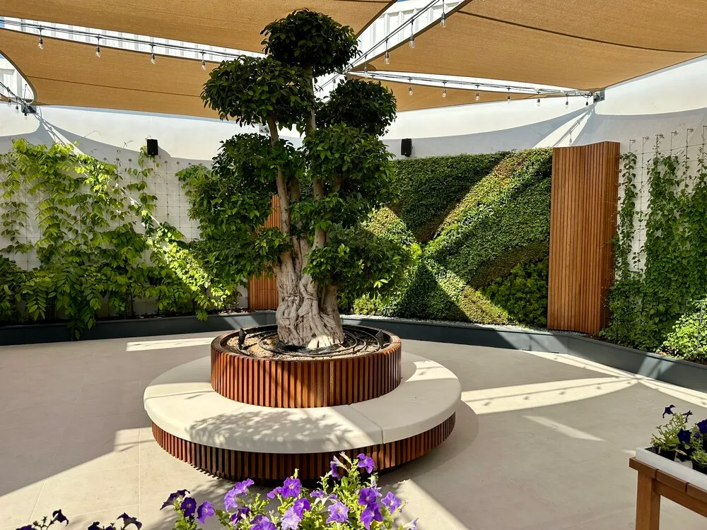 image_5.c8oOI4T.webp image_5.c8oOI4T.webp