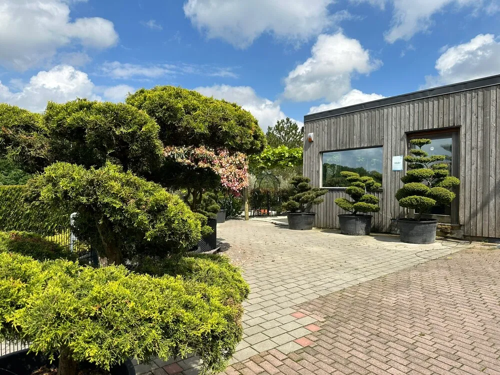 image_6.R4IaCoC.webp