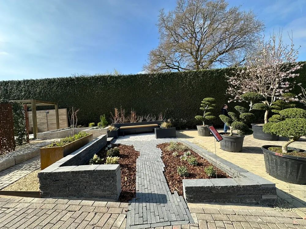 image_7.CdkljI9.webp