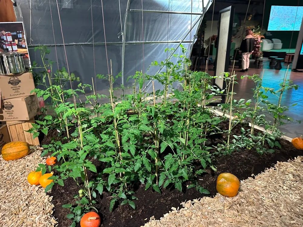 image_7.jEHErMI.webp image_7.jEHErMI.webp