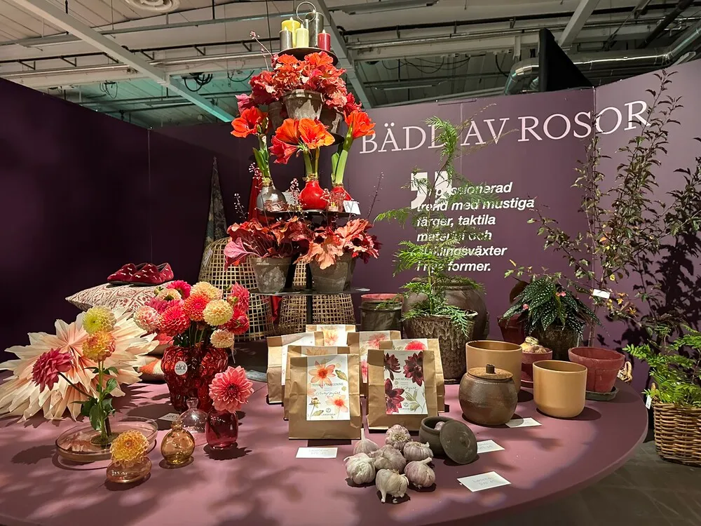 image_9.HCbvB0x.webp image_9.HCbvB0x.webp